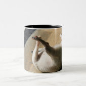 Hund, der auf dem Boden liegt Zweifarbige Tasse (Mittel)