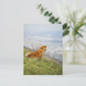 Hund, der auf den Hügel hinabschaut Postkarte (Stehend Vorderseite)