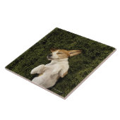 Hund, der beim Gras-Schlafen liegt Fliese (Seite)