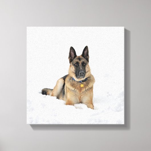 Hund der deutschen Schäferhunde in Schneekanonen Leinwanddruck (Vorderseite)