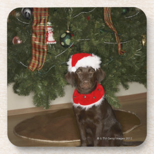 Hund, der durch einen Weihnachtsbaum sitzt Getränkeuntersetzer