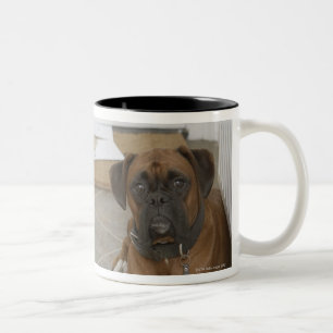 Hund, der durch Fußmatte und gekaute Post liegt Zweifarbige Tasse