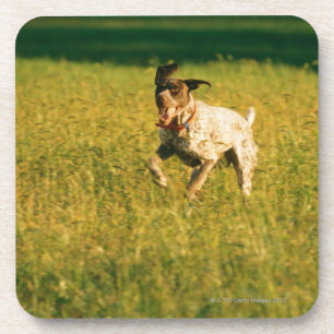 Hund, der durch Gras läuft Getränkeuntersetzer