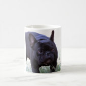 Hund der französischen Bulldogge Kaffeetasse (Mittel)