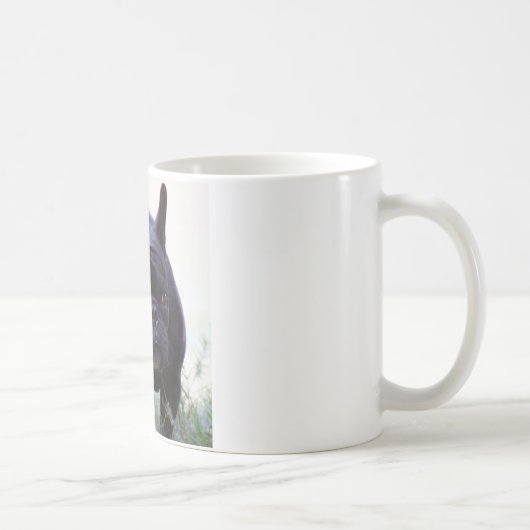 Hund der französischen Bulldogge Kaffeetasse (Rechts)