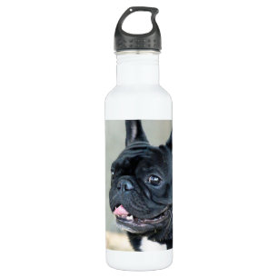 Hund der französischen Bulldogge Trinkflasche