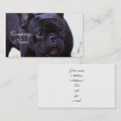 Hund der französischen Bulldogge Visitenkarte (Vorne/Hinten)