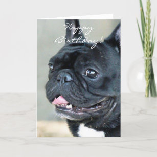 Hund der Geburtstags-französischen Bulldogge Karte