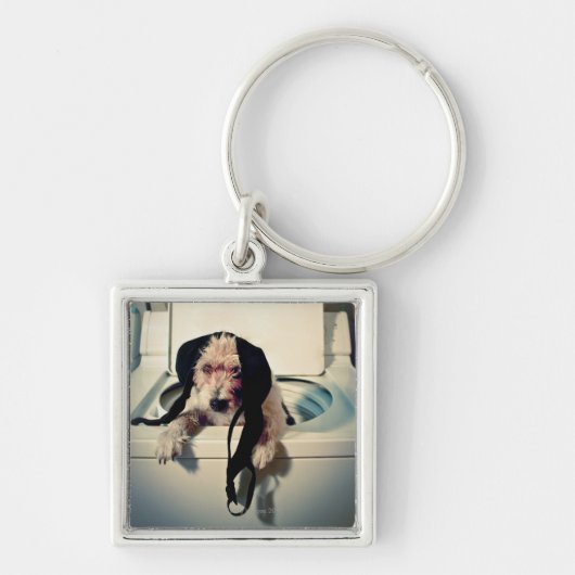 Hund, der heraus bei der Wäsche hilft Schlüsselanhänger (Vorne)