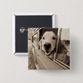 Hund, der heraus ein Auto-Fenster späht Button (Vorne & Hinten)