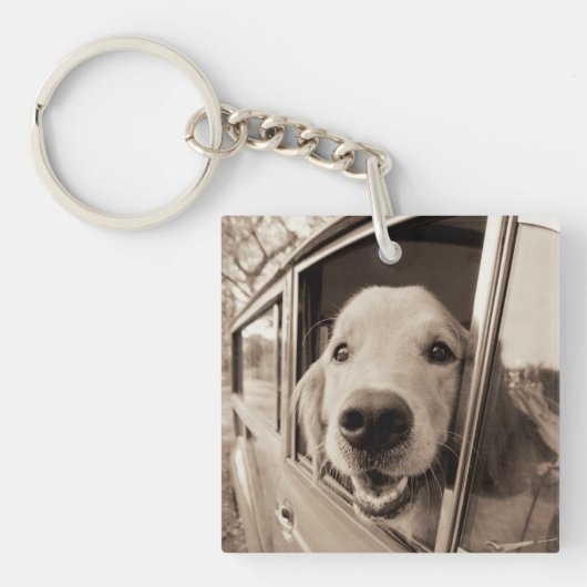 Hund, der heraus ein Auto-Fenster späht Schlüsselanhänger (Vorderseite)