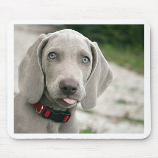 Hund, der heraus Zunge haftet Mousepad (Vorne)