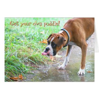 Hund, der heraus Zunge mit Pfützen-Karte haftet