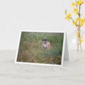 Hund, der im langen Gras läuft Karte (Gelbe Blume)