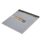 Hund, der im Schnee gräbt Fliese (Seite)