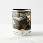 Hund, der in der Wasser-Tasse abkühlt Tasse (Zentrum)