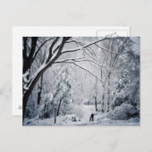 Hund, der in ein Winter-Märchenland geht Postkarte (Vorne/Hinten)