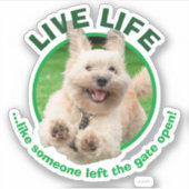 Hund, der in Hof läuft Aufkleber (Vorderseite)