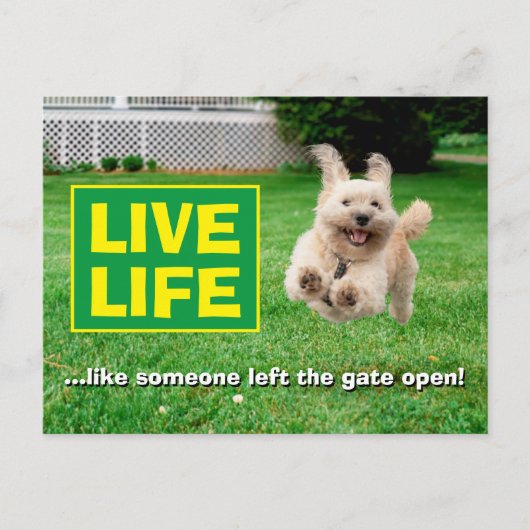 Hund, der in Hof läuft Einladungspostkarte (Vorderseite)