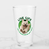 Hund, der in Hof läuft Glas (Vorderseite)