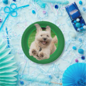 Hund, der in Hof läuft Pappteller (Party)