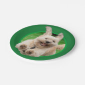 Hund, der in Hof läuft Pappteller (Schrägansicht)