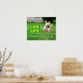 Hund, der in Hof läuft Poster (Küche)