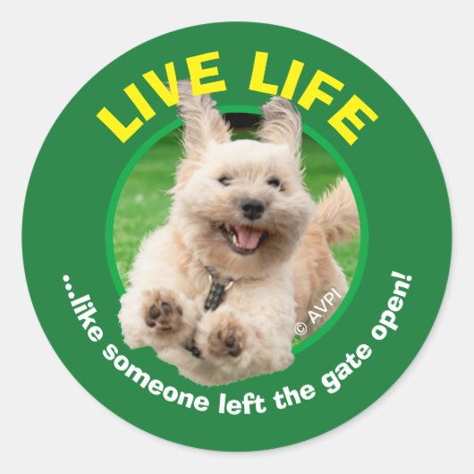 Hund, der in Hof läuft Runder Aufkleber (Vorderseite)