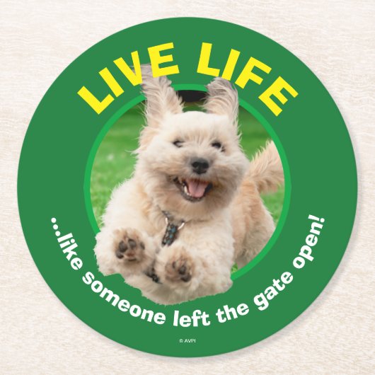 Hund, der in Hof läuft Runder Pappuntersetzer (Vorderseite)