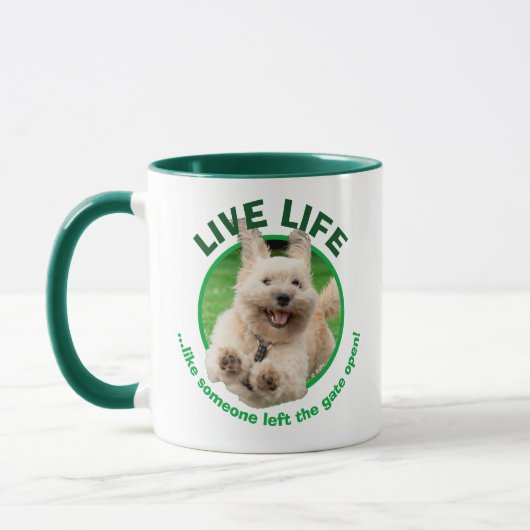 Hund, der in Hof läuft Tasse (Links)