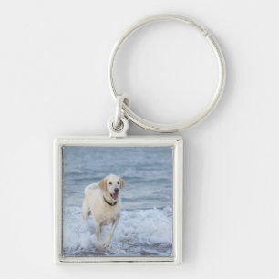 Hund, der in Wasser am Strand läuft Schlüsselanhänger