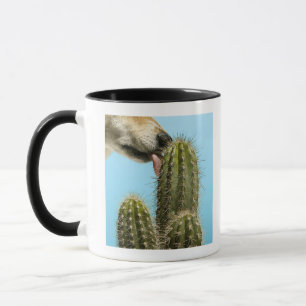 Hund, der Kaktus, Nahaufnahme leckt Tasse
