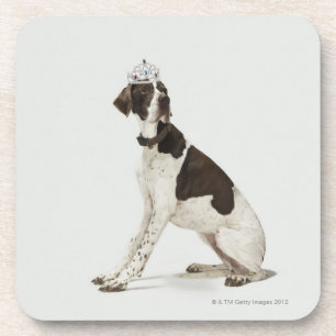 Hund, der mit einer Tiara auf Kopf sitzt Getränkeuntersetzer