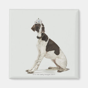 Hund, der mit einer Tiara auf Kopf sitzt Magnet