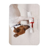 Hund, der nach einem Diplom sucht Magnet (Vertikal)