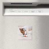 Hund, der nach einem Diplom sucht Magnet (In Situ (Geschirrspüler))
