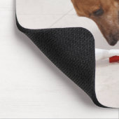 Hund, der nach einem Diplom sucht Mousepad (Ecke)