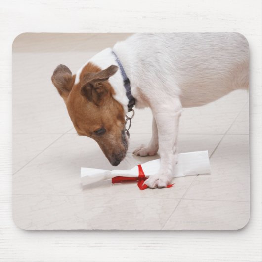 Hund, der nach einem Diplom sucht Mousepad (Vorne)