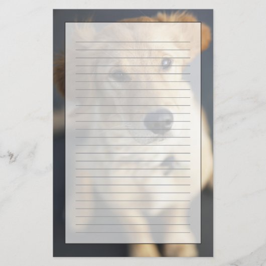 Hund, der oben schaut briefpapier (Vorderseite)