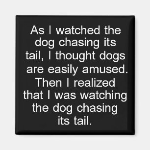 Hund, der quadratischen Magneten des Schwanzes in Magnet