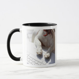Hund, der seine Hände auf einen Laptop setzt Tasse