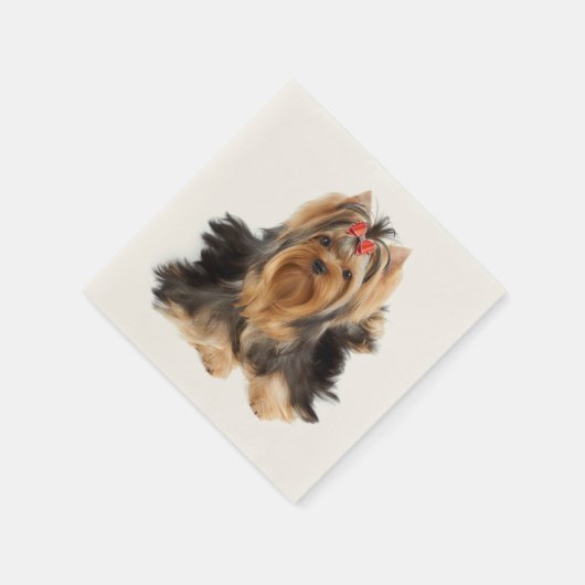 Hund der Showklasse Serviette (Ecke)