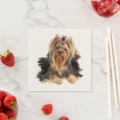 Hund der Showklasse Serviette (Beispiel)