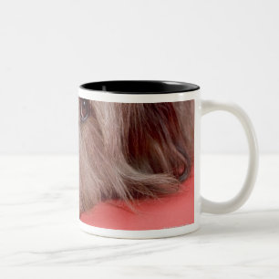 Hund, der sich hinlegt zweifarbige tasse