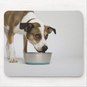 Hund, der von der Schüssel isst Mousepad