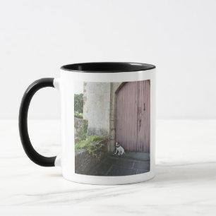Hund, der vor geschlossenen Türen sitzt Tasse