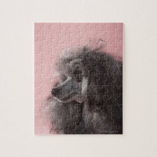 Hund, der weg schaut puzzle