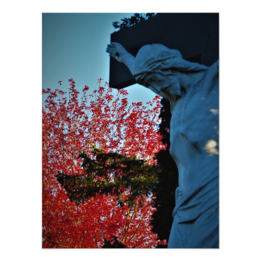 "Hund des Himmels" Fotodruck (Vorne)