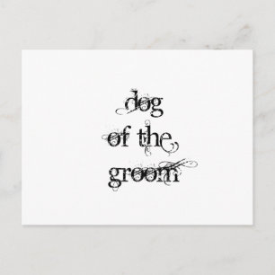 Hund des Raumes Postkarte