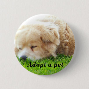 Hund, die Liebe Vermisst Button